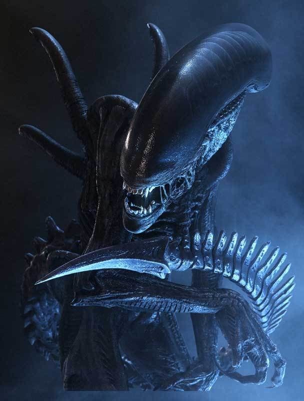 alien-covenant-photo-xenomorphe-1026667